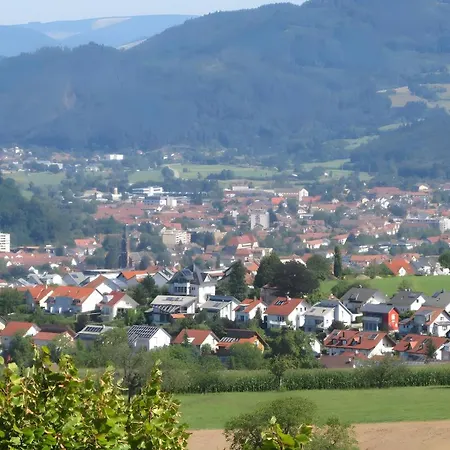 Zwei-zimmer-wohnung In Apartment Schopfheim