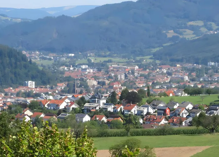 Zwei-zimmer-wohnung In Appartamento Schopfheim
